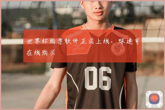 世界杯购票软件正式上线,球迷可在线购买